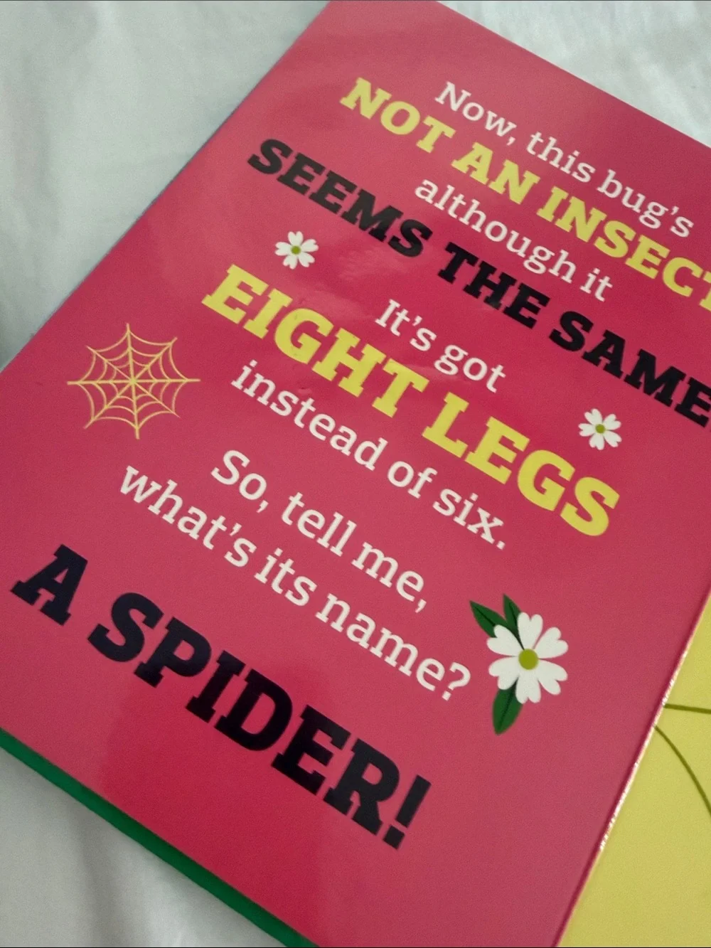Backyard Bugs Kids Toy Book with Pink Spiral Snail